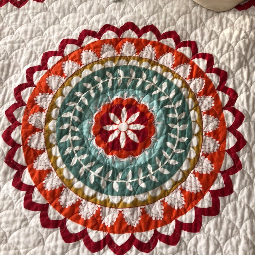 Meet your Posher, Maddie